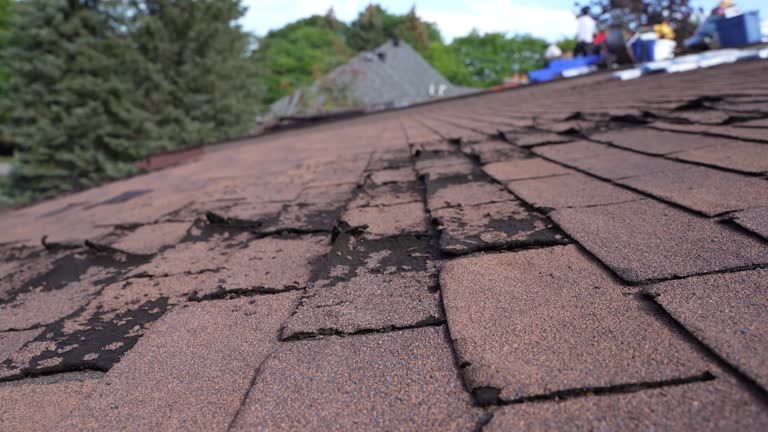 Best Gutter Installation and Repair  in Woodworth, LA